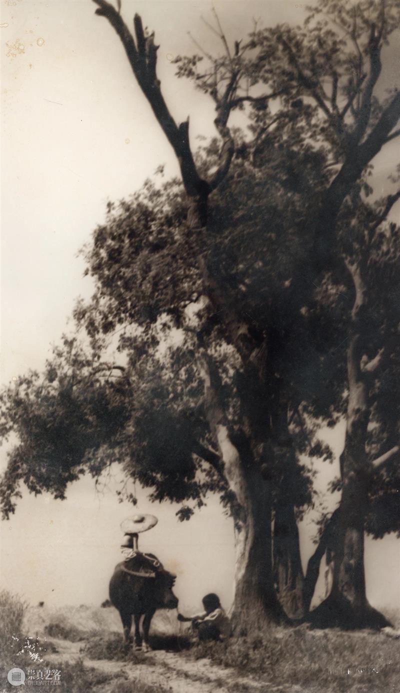 又見——影像艺术专场精览丨中贸圣佳2023上海拍 崇真艺客