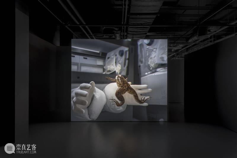 视频｜约翰·杰勒德 John Gerrard 回顾数十年跨媒介艺术实践 发布最新NFT作品 崇真艺客