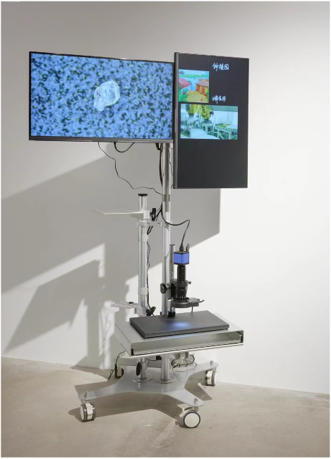 新展预告|1979画廊—浮乡手信 崇真艺客