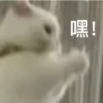 ​《奥本海默》内地定档8月30日；万玛才旦遗作曝预告 崇真艺客