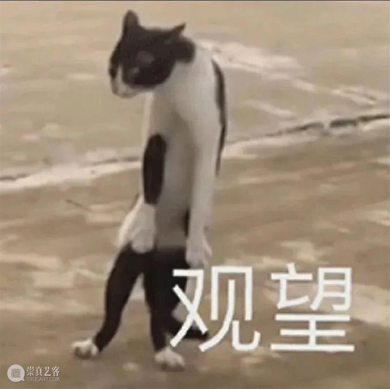 ​《奥本海默》内地定档8月30日；万玛才旦遗作曝预告 崇真艺客