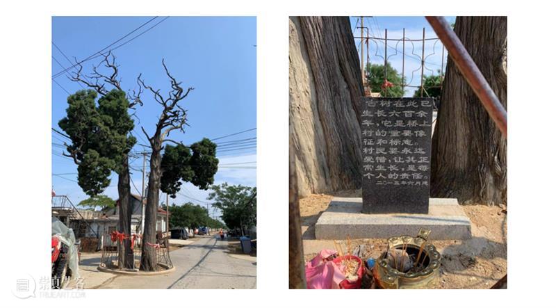 小恐龙搬家记（下） 崇真艺客