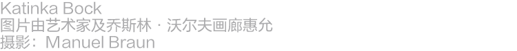 阿那亚大地艺术节 ｜卡婷卡·柏克：“寄生”于此，无限参与 崇真艺客