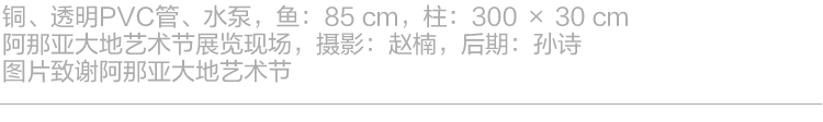 阿那亚大地艺术节 ｜卡婷卡·柏克：“寄生”于此，无限参与 崇真艺客