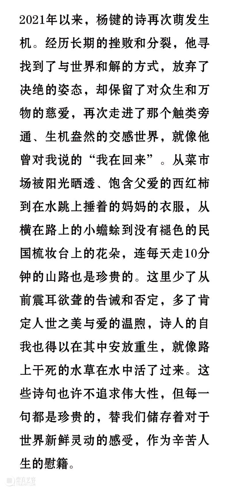 九人谈杨键 | 他是一个画灵魂的画家 崇真艺客