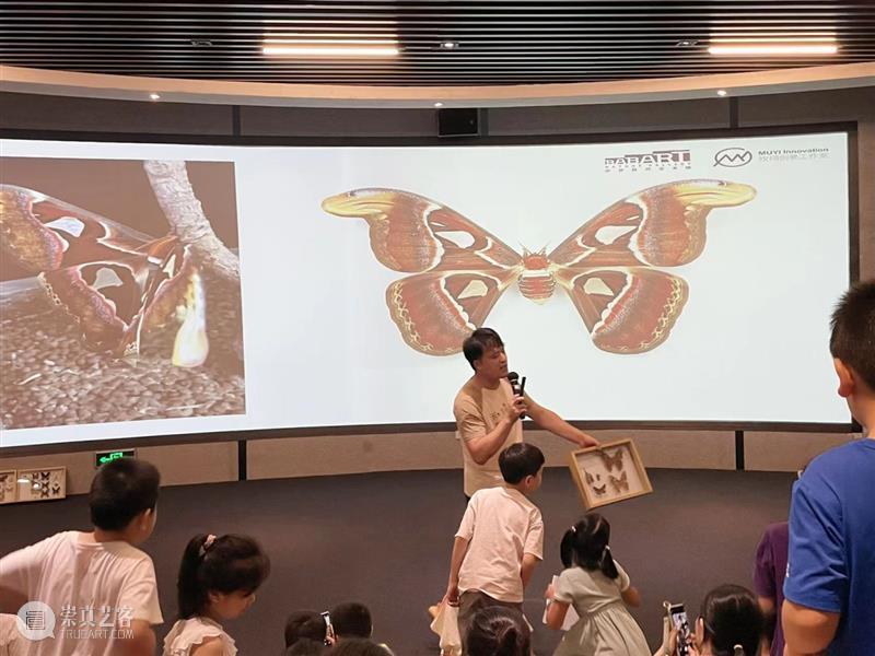2023年南山区自然艺术季 | 生态大讲堂回顾及大赛入围名单  OCAT深圳馆 南山区 自然 生态 大讲堂 名单 人与自然 深圳市生态环境局南山管理局主办 广东深圳华侨城国家湿地公园协办 深圳市华侨城当代艺术中心 OCAT 崇真艺客