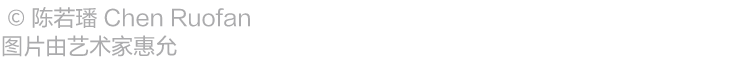 阿那亚大地艺术节｜陈若璠：让自然的拟像，在虚拟中摇曳 崇真艺客