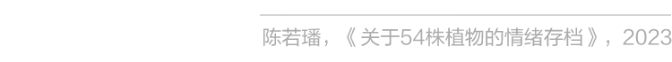 阿那亚大地艺术节｜陈若璠：让自然的拟像，在虚拟中摇曳 崇真艺客