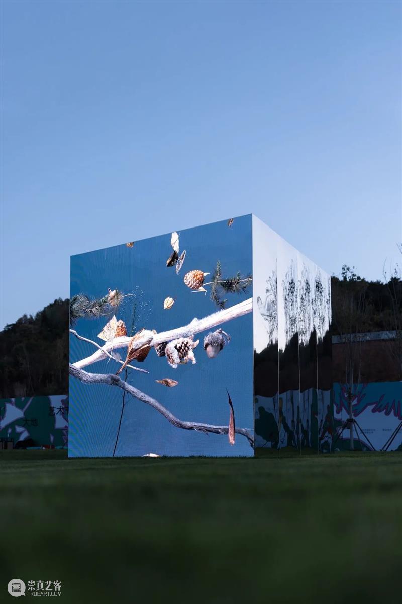 阿那亚大地艺术节｜陈若璠：让自然的拟像，在虚拟中摇曳 崇真艺客