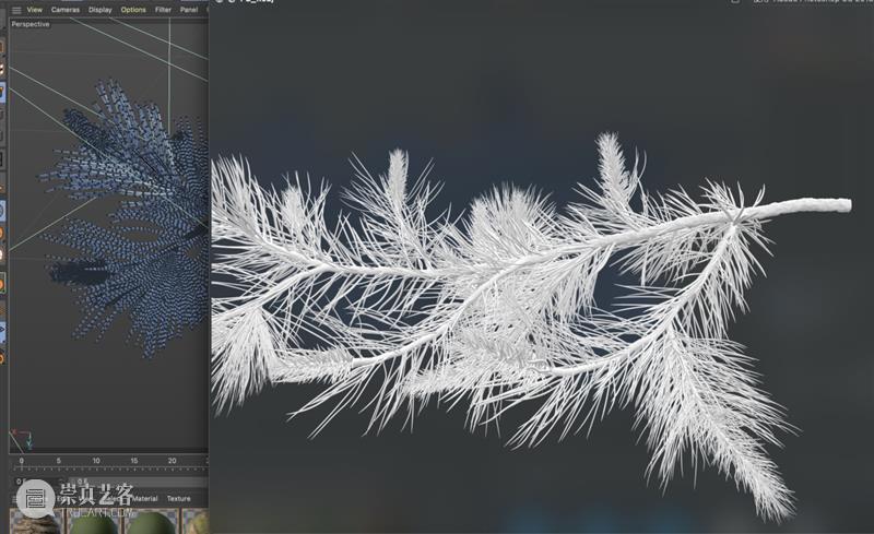 阿那亚大地艺术节｜陈若璠：让自然的拟像，在虚拟中摇曳 崇真艺客