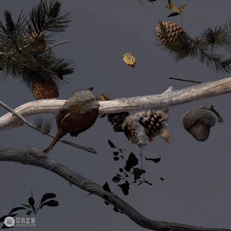 阿那亚大地艺术节｜陈若璠：让自然的拟像，在虚拟中摇曳 崇真艺客