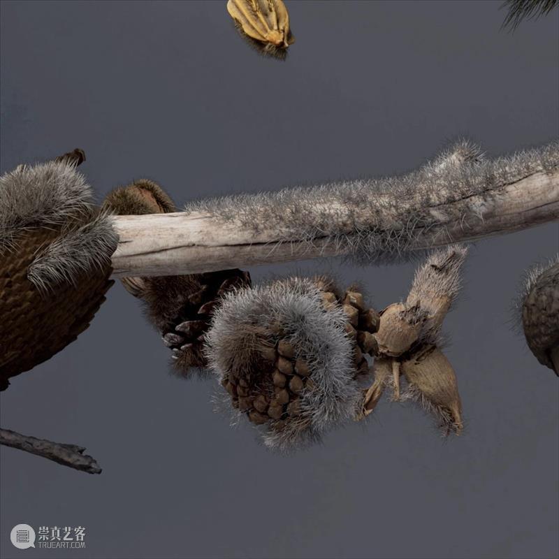 阿那亚大地艺术节｜陈若璠：让自然的拟像，在虚拟中摇曳 崇真艺客