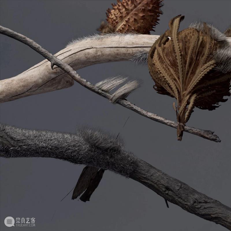 阿那亚大地艺术节｜陈若璠：让自然的拟像，在虚拟中摇曳 崇真艺客