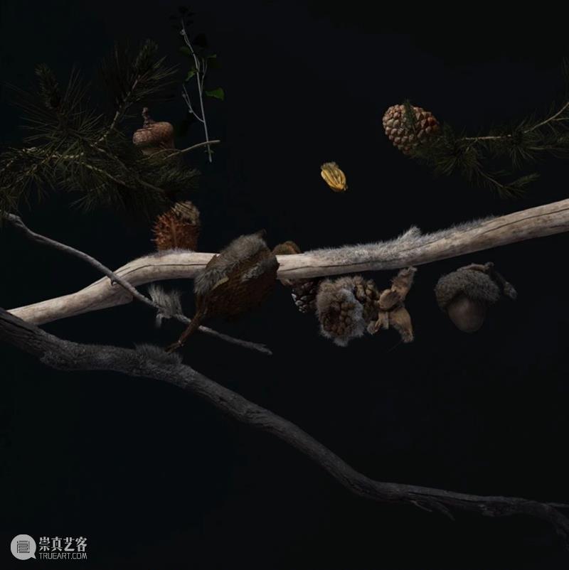 阿那亚大地艺术节｜陈若璠：让自然的拟像，在虚拟中摇曳 崇真艺客