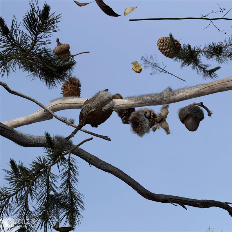 阿那亚大地艺术节｜陈若璠：让自然的拟像，在虚拟中摇曳 崇真艺客