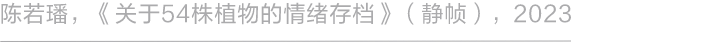 阿那亚大地艺术节｜陈若璠：让自然的拟像，在虚拟中摇曳 崇真艺客