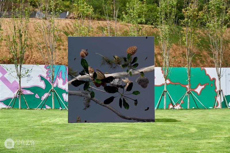 阿那亚大地艺术节｜陈若璠：让自然的拟像，在虚拟中摇曳 崇真艺客