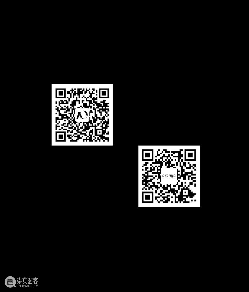 阿那亚大地艺术节｜陈若璠：让自然的拟像，在虚拟中摇曳 崇真艺客