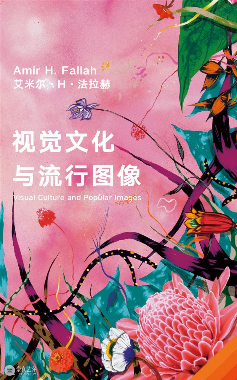 艾米尔·H·法拉赫：视觉文化与流行图像 崇真艺客