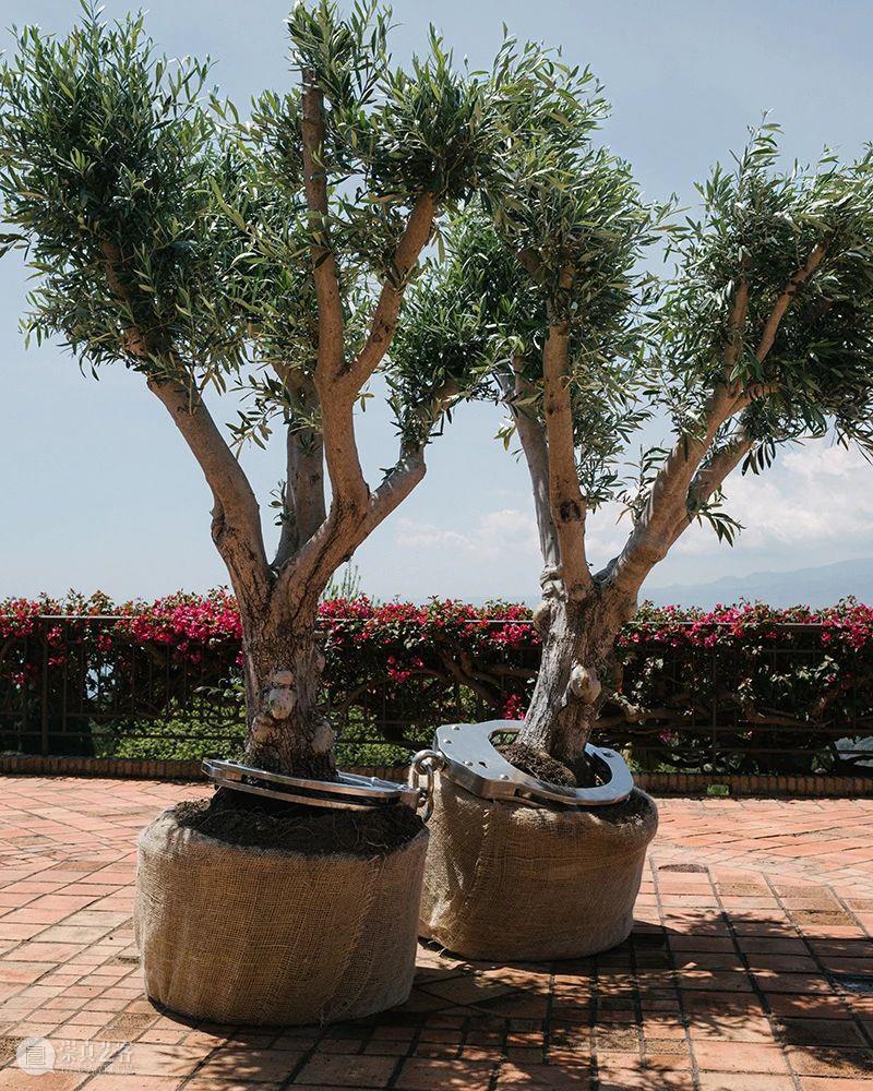 特别项目 | 贝梦德联袂常青画廊发起MITICO艺术体验系列第二季，寰球揭幕，7位艺术家的装置作品于西、意、英、巴四国隆重亮相  北京 系列 艺术家 贝梦德 项目 作品 MITICO艺术体验 寰球 四国 MITICO SECOND 崇真艺客