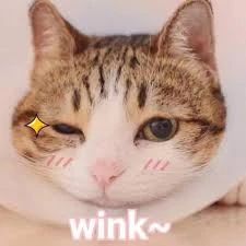 20岁进NDT，30多岁进巴切瓦，这位舞者凭什么进入世界级舞团？ 崇真艺客