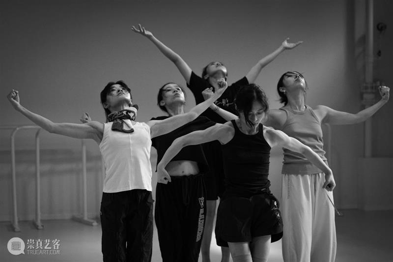 20岁进NDT，30多岁进巴切瓦，这位舞者凭什么进入世界级舞团？ 崇真艺客