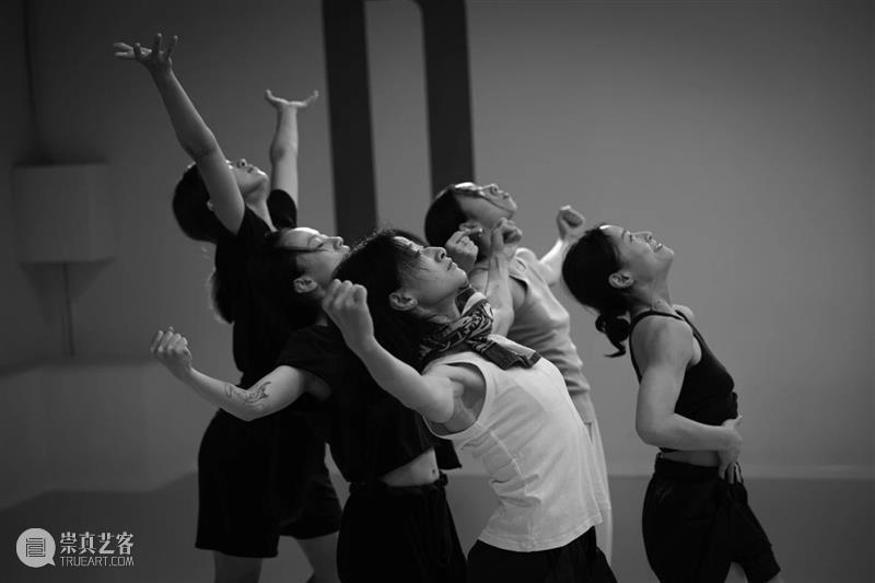 20岁进NDT，30多岁进巴切瓦，这位舞者凭什么进入世界级舞团？ 崇真艺客