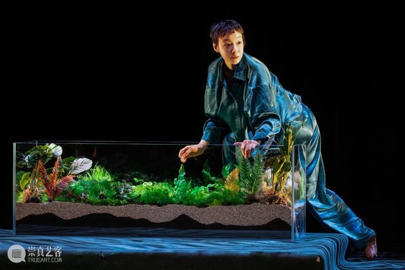 她说:30天冷静期到了,我可以离婚了 崇真艺客