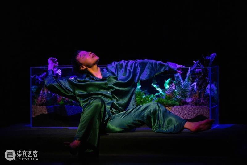 她说:30天冷静期到了,我可以离婚了 崇真艺客