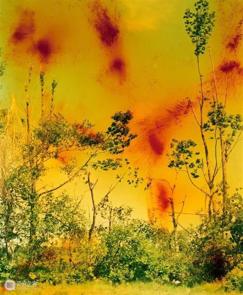 《纽约时报》专访沃尔夫冈·提尔曼斯(Wolfgang Tillmans) 崇真艺客