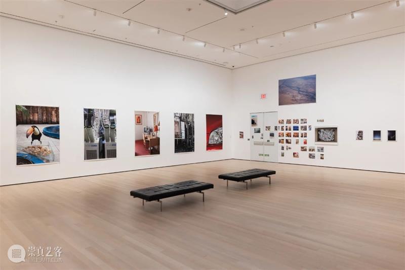 《纽约时报》专访沃尔夫冈·提尔曼斯(Wolfgang Tillmans) 崇真艺客