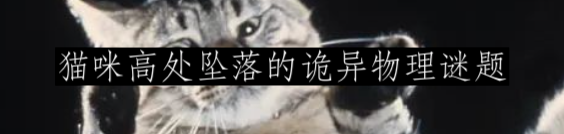 为什么狗会把脑袋歪向一边? 崇真艺客