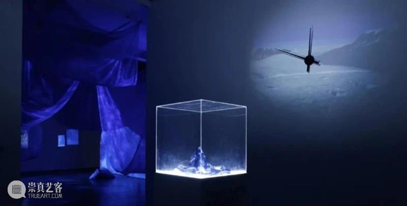 北京8月 | 20个不可错过的新媒体艺术展 崇真艺客