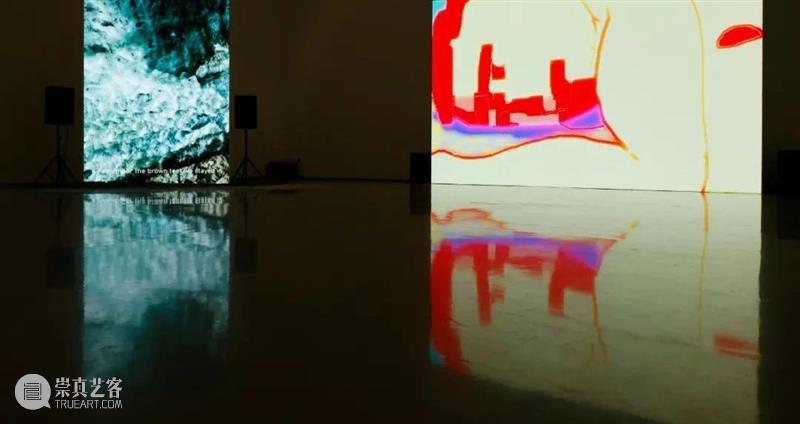 北京8月 | 20个不可错过的新媒体艺术展 崇真艺客