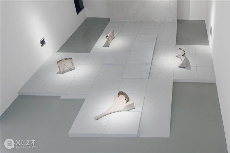 北京8月 | 20个不可错过的新媒体艺术展 崇真艺客
