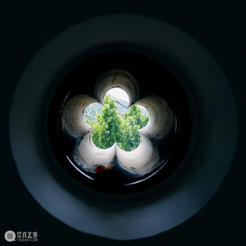 北京8月 | 20个不可错过的新媒体艺术展 崇真艺客