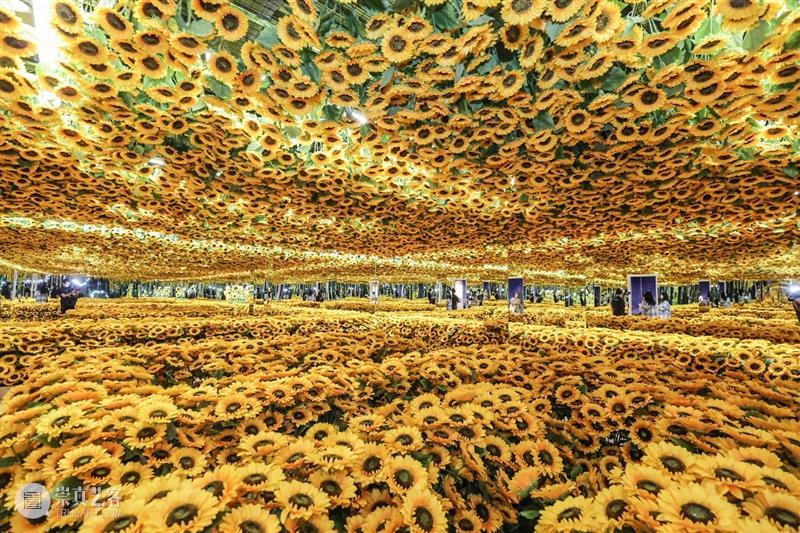 北京8月 | 20个不可错过的新媒体艺术展 崇真艺客
