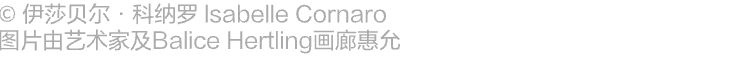 2023阿那亚大地艺术节｜伊莎贝尔·科纳罗：一切物体，皆存在于精神景观 崇真艺客