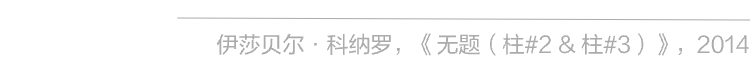 2023阿那亚大地艺术节｜伊莎贝尔·科纳罗：一切物体，皆存在于精神景观 崇真艺客