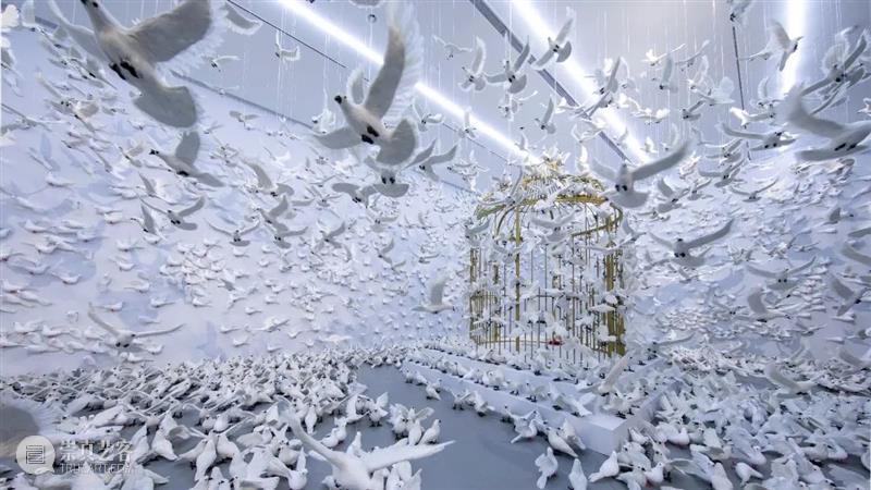 周艺文_音乐与鸽子、天使与绿马、樱桃与时间 | 国家美术·关注 崇真艺客