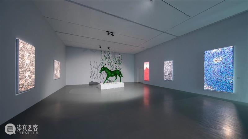 周艺文_音乐与鸽子、天使与绿马、樱桃与时间 | 国家美术·关注 崇真艺客