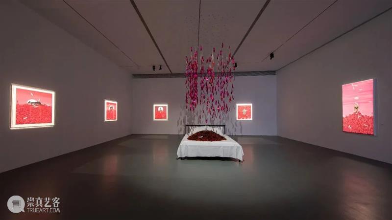 周艺文_音乐与鸽子、天使与绿马、樱桃与时间 | 国家美术·关注 崇真艺客