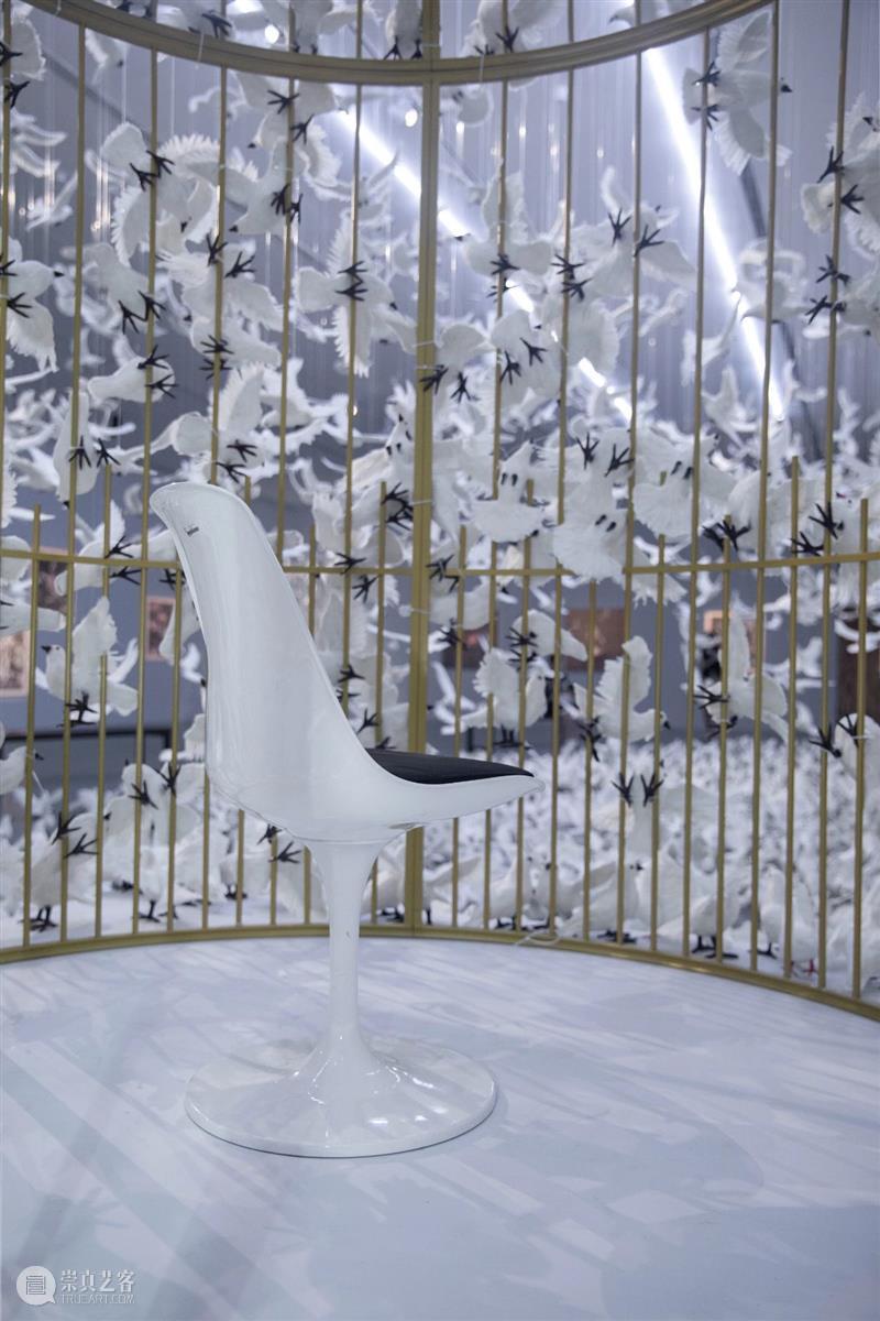 周艺文_音乐与鸽子、天使与绿马、樱桃与时间 | 国家美术·关注 崇真艺客