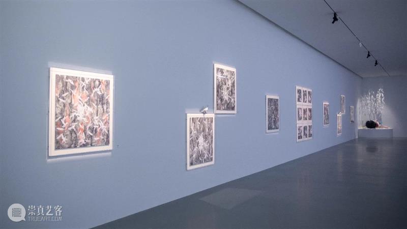 周艺文_音乐与鸽子、天使与绿马、樱桃与时间 | 国家美术·关注 崇真艺客