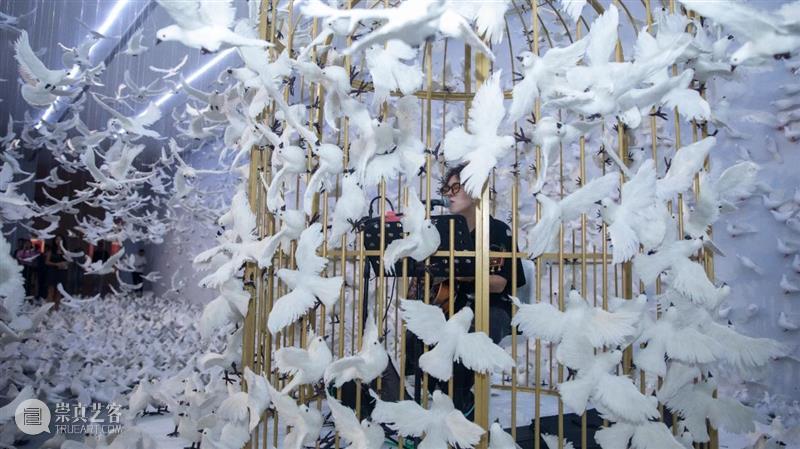 周艺文_音乐与鸽子、天使与绿马、樱桃与时间 | 国家美术·关注 崇真艺客