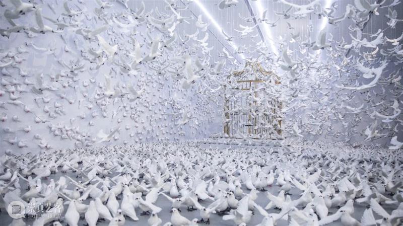 周艺文_音乐与鸽子、天使与绿马、樱桃与时间 | 国家美术·关注 崇真艺客