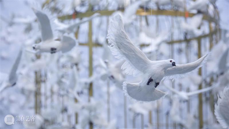 周艺文_音乐与鸽子、天使与绿马、樱桃与时间 | 国家美术·关注 崇真艺客