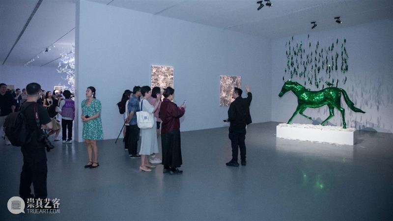 周艺文_音乐与鸽子、天使与绿马、樱桃与时间 | 国家美术·关注 崇真艺客