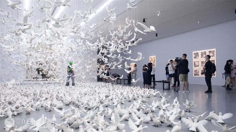 周艺文_音乐与鸽子、天使与绿马、樱桃与时间 | 国家美术·关注 崇真艺客