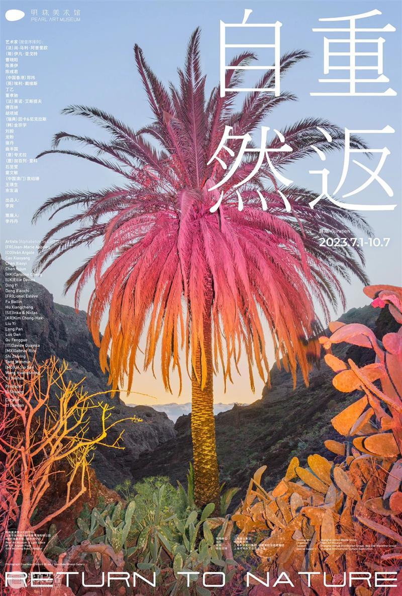 重返自然 | 傅百林:玄秘森林 崇真艺客